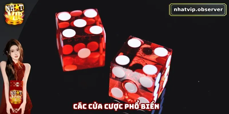 Các cửa cược phổ biến