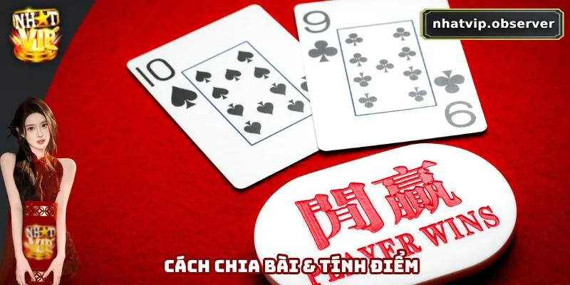 Hướng dẫn cách chia bài và tính điểm dễ hiểu
