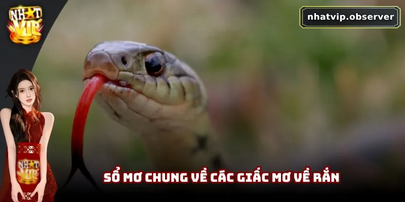 Sổ mơ chung về các giấc mơ về rắn